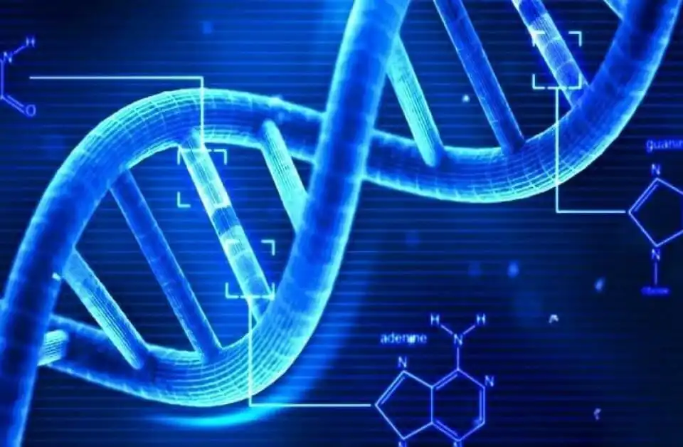 DNA Τεστ Αδερφών