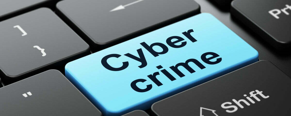 cyber crime detective